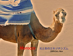  Maroccoモロッコ2009.Oct.-Nov