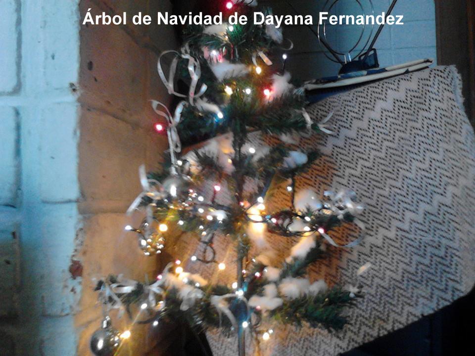 Fotos del árbol de Navidad y del Belén