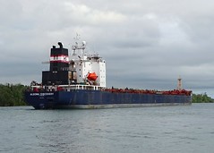 2016 Great Lakes & Ocean Shipping