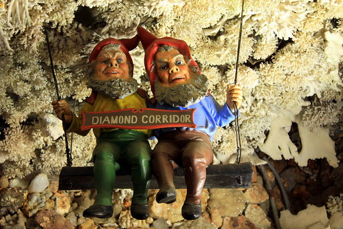 Rock City's Diamond Corridor Gnomes