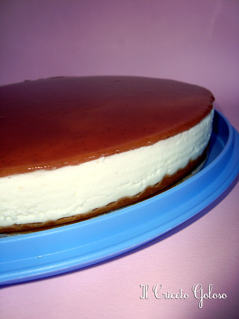 Cheesecake allo yogurt  simil cameo (2)