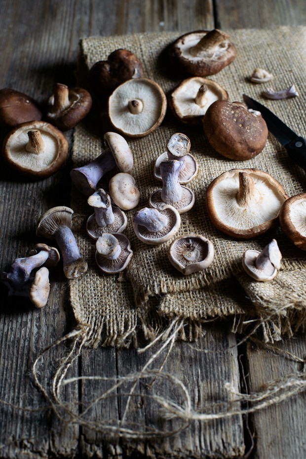 Mushrooms from a farm