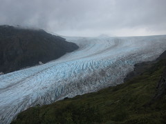 Harding Icefield Hike (2013)