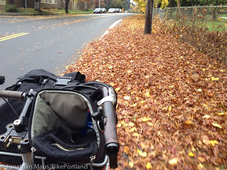 Leaves in bike lane_