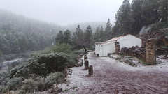 Nieve en la cumbre de Gran Canaria (09-01-2014)