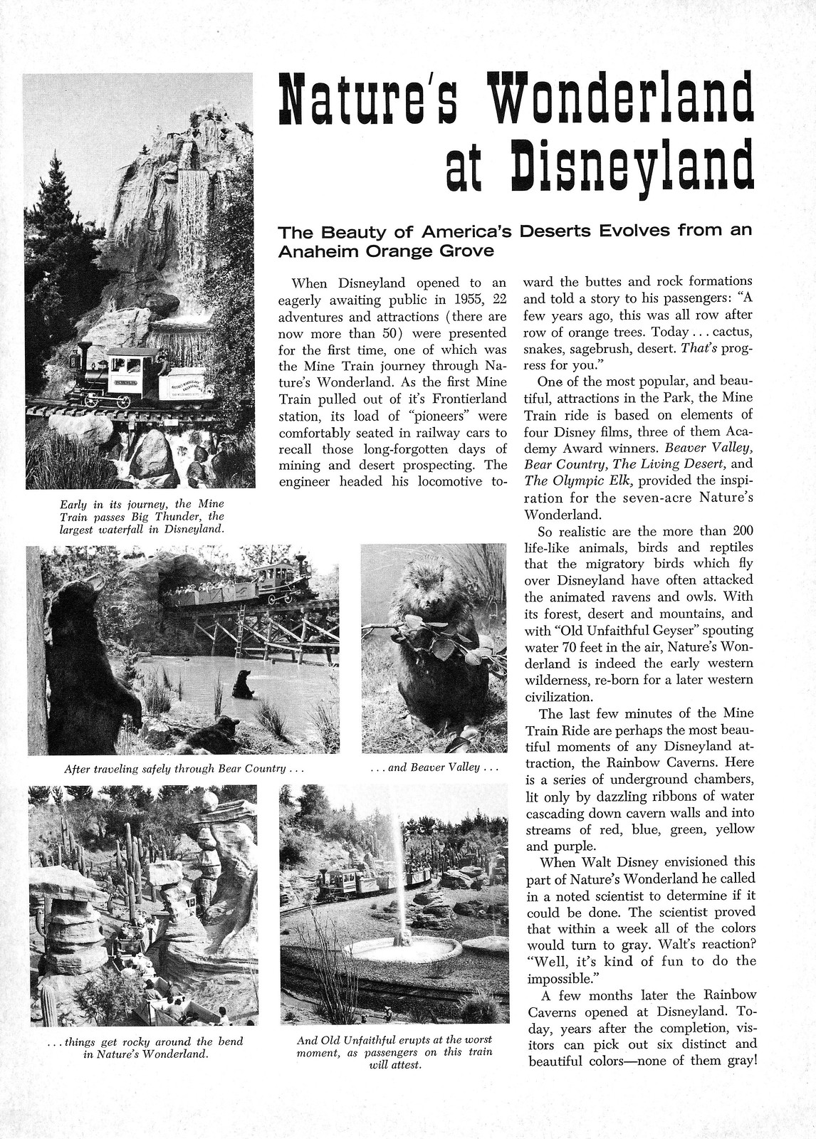 Disneyland Vacationland Fall 1967 09 - Nature's Wonderland