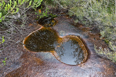 Indigenous grooves and pools