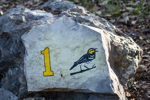 Markers on the Cactus Rock Trail at Balcones Canyonlands NWR