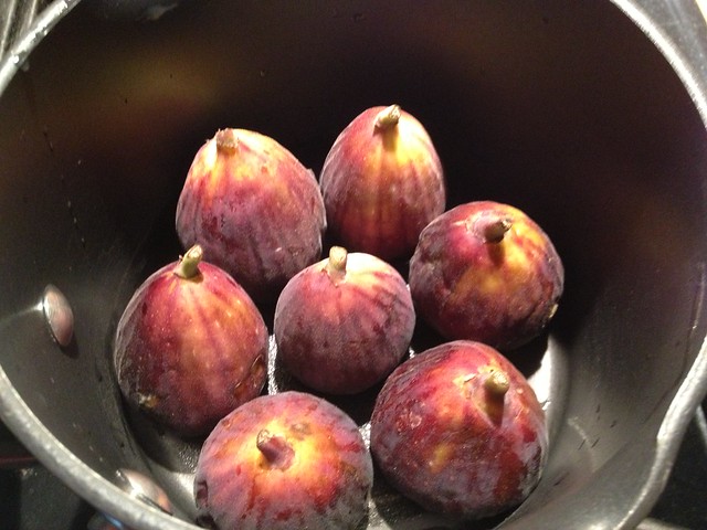 figs in pot