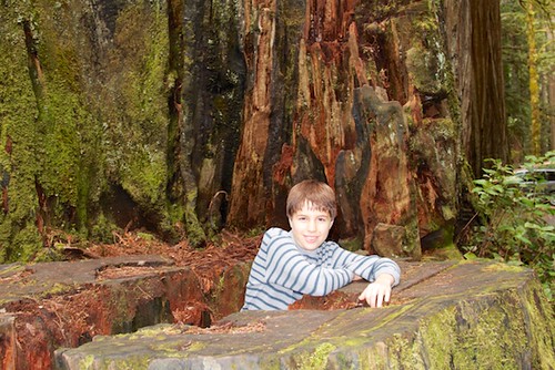 JD Boy at Redwoods National Park