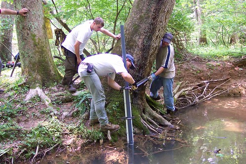 Image of a team of researchers studying the health of a Special Protection Area stream.