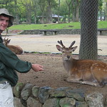 Dennis Reaching Out to the Nara Deer