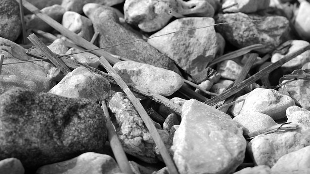 Stones black and white!
