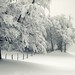winter_41