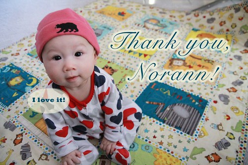 Thank you, Norann, for the quilt