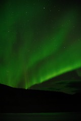 Northern Lights, Aurora Borelais