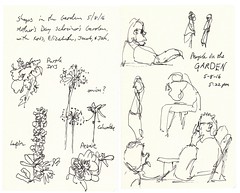 Schreiner's Iris Garden Sketches