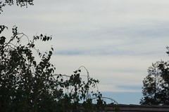 			Klaus Naujok posted a photo:	Not sure what happen to our summer weather pattern, more gray clouds all day long.