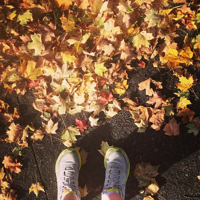 I can't stop myself from taking leaf photos. #iloveautumn #foundwhilerunning