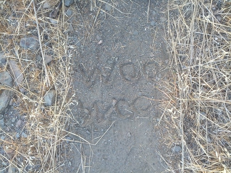 I was falling behind with all my picture taking, and feeling grumbly about hiking on my beaten up feet again. Luke left me this ‘woo woo’ note in the trail.