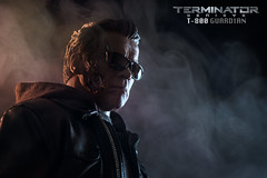 Hot Toys - Terminator T-800 1/6 Collectible Figure.
