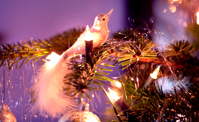 Christmas XMAS decoration xmas Tree lights bling CATS & DOGS fashion blog Berlin 4