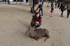 2014 Jan. Japan Trip Day 4: Nara