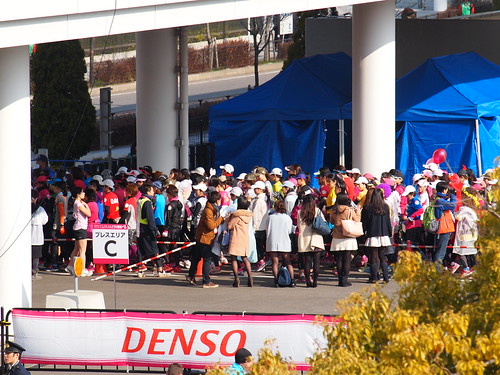 名古屋ウィメンズマラソン2014、名古屋シティマラソン2014