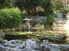 pagoda and pond