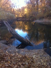 November 9, 2013 (Provo River Trail)