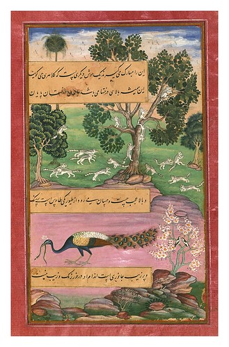013-Memorias de Babur-1500-1600-Biblioteca Digital Mundial
