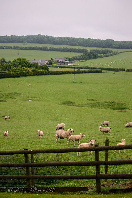 Welcome to the English Countryside