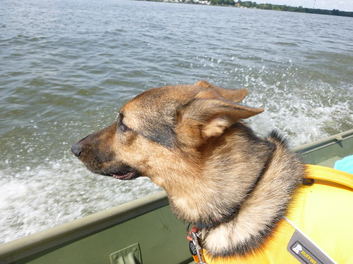 On the boat with Merlin