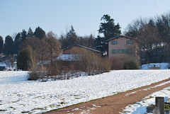 a walk along the Savena creek in winter