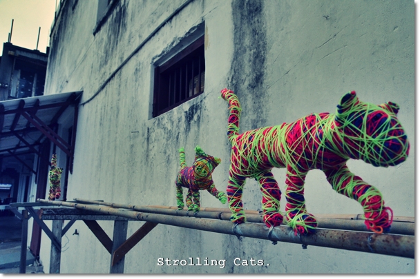 Strolling Cats