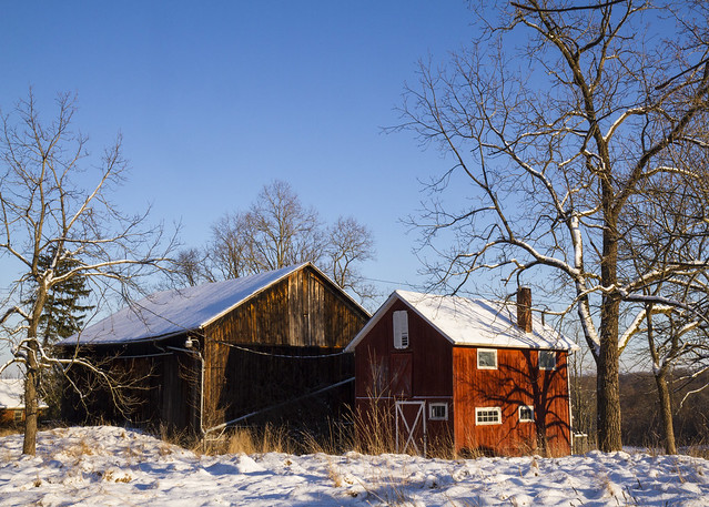 Barns and Snow
