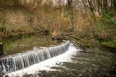River Frome 