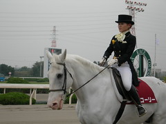 競馬 / Horse racing
