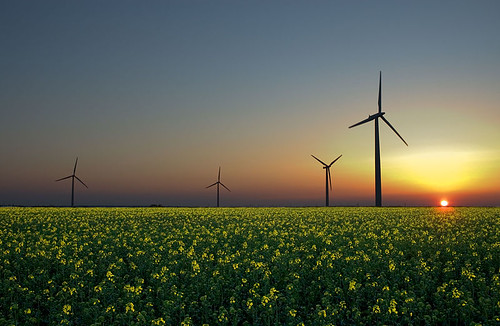 風力發電是再生能源之一，圖片來源：維基百科