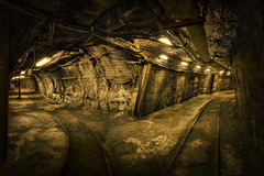 Trip In The Mine