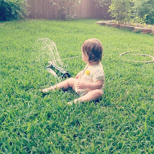Why run through the sprinkler when you could just sit down next to it?