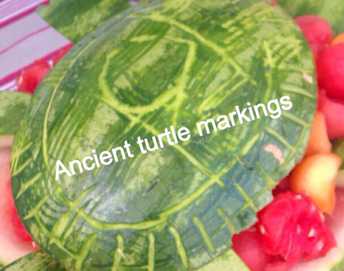 how to carve turtle markings into watermelon