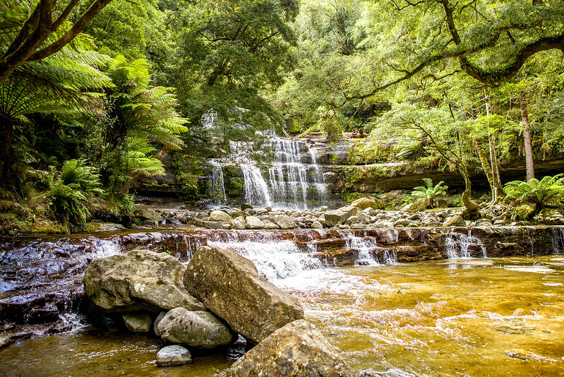 Liffey Falls, Tasmania