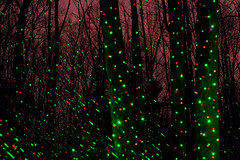 Forest Laser
