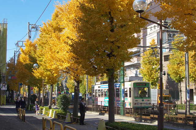 Tokyo Train Story 都電荒川線 2013年11月30日