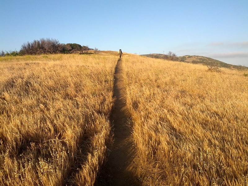 Luke hiking in the golden hills