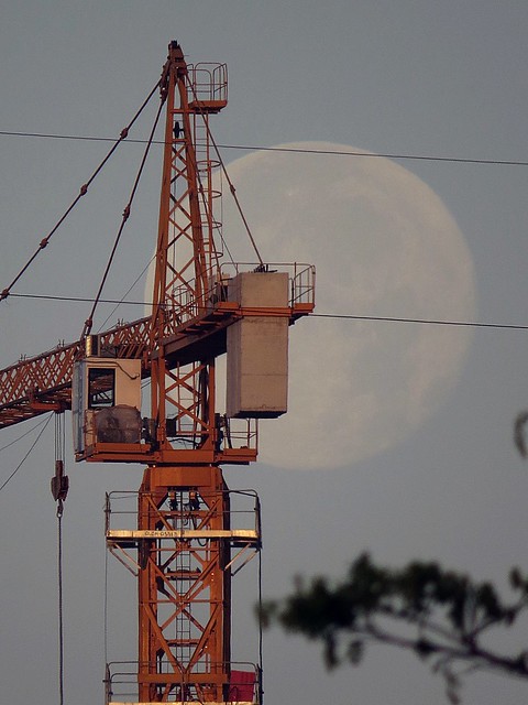 Crane and moon. Photographed by Bernard Eirrol Tugade