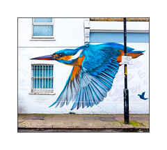 Kingfishers in Street Art