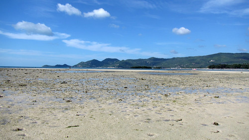 Koh Samui Chaweng Beach North サムイ島チャウエンビーチ北 (2)