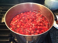 Making homemade plum jam